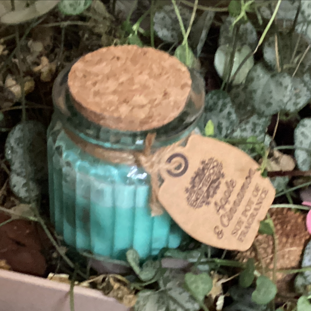 Vela soma de manzana