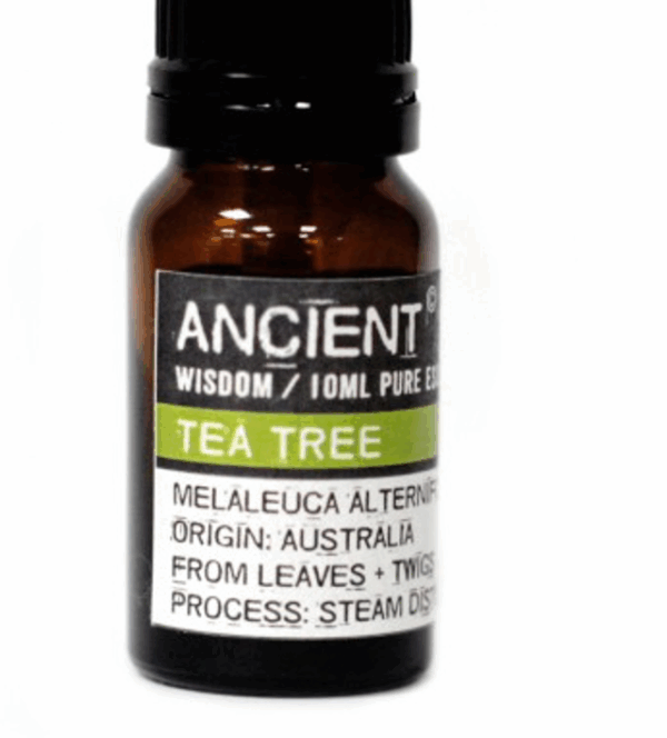 Aceite esencial de árbol de té verde AW 10 ML 10ml Aceite esencial de árbol de té verde AW 10 ML 10ml