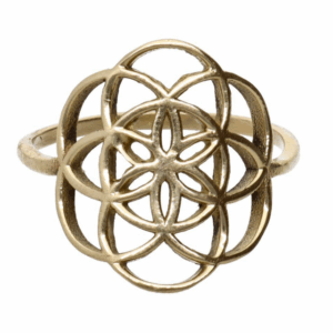 Anillo de Bronce -47-