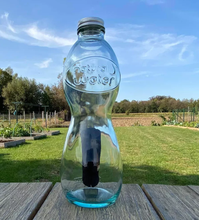 Jarra de agua natural – Incluye 1 carbón Woody Binchotan  WOODY WOODY