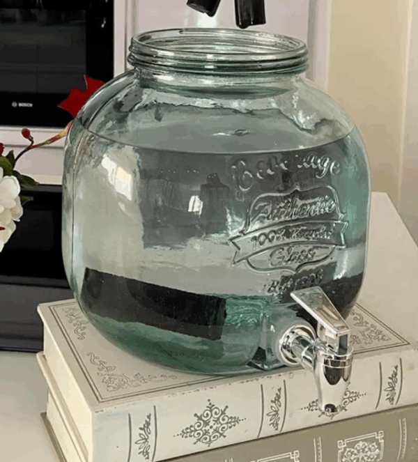 Fuente PURE Binchotan 6L – 4 carbones leñosos binchotan incluidos