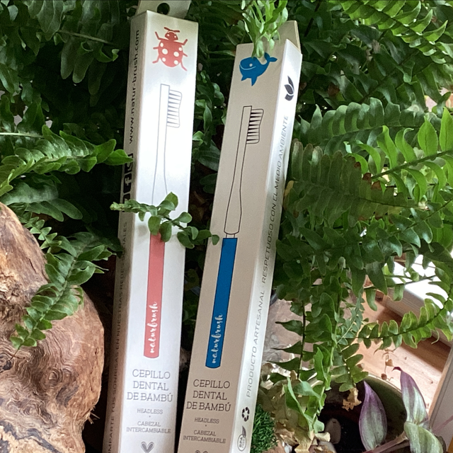 Naturbrush cepillo dental con cabezal intercambiable.
