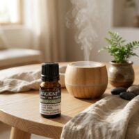 Aceite Esencial de Pachulí (Patchouli) – Aroma Intenso y Amaderado - Imagen 3