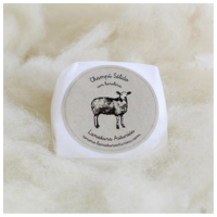 Diseño sin título (10)